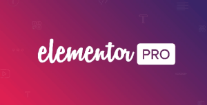 Elementor Pro Plugin Version 3.22.1